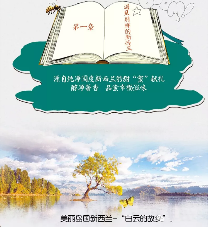 DNZ新西兰原装进口儿童蜂蜜纯净天然宝宝蜂蜜kids Honey2.png